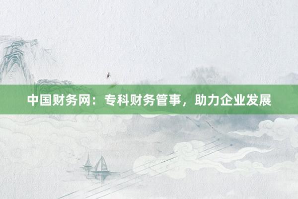 中国财务网：专科财务管事，助力企业发展