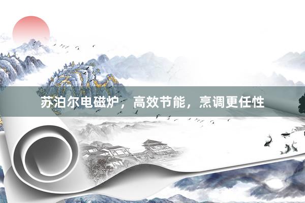 苏泊尔电磁炉，高效节能，烹调更任性