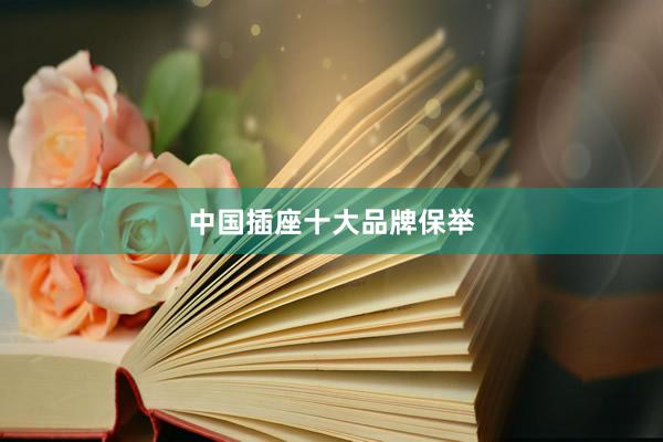 中国插座十大品牌保举