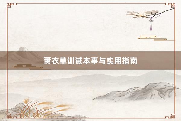 薰衣草训诫本事与实用指南
