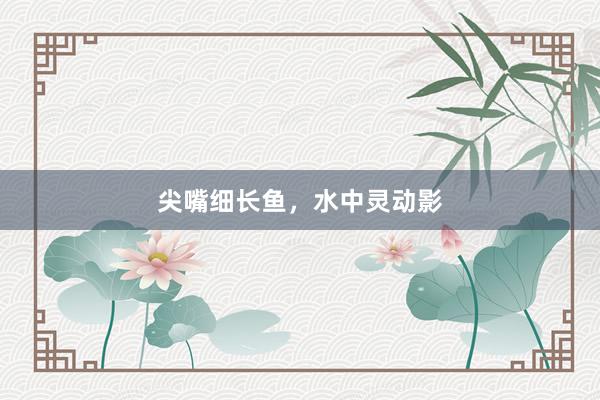 尖嘴细长鱼，水中灵动影
